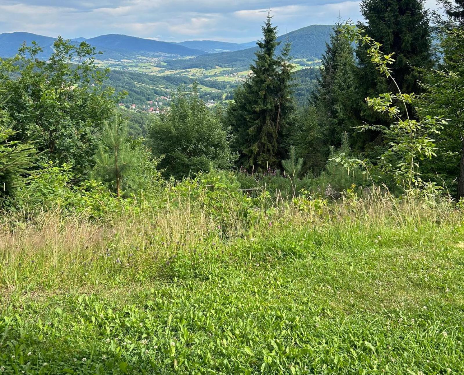 Gosciniec Pod Lubomirem Panzió Weglowka  Kültér fotó